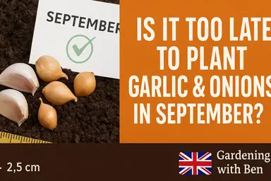 'Video thumbnail for ๐ Is it too late to plant garlic & onions in September?'