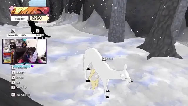 Video thumbnail for It's Just Chaos. My Honest Livestream Experience