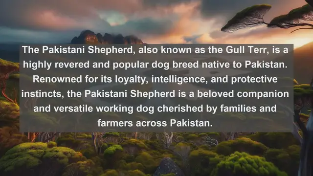 Video thumbnail for Unveiling Pakistan's Most Beloved Companions: Top 10 Favorite Pets Revealed!