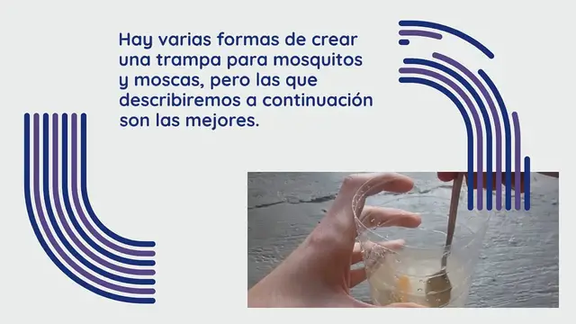 Video thumbnail for He aquí cómo hacer una trampa para moscas y mosquitos en casa: solo toma unos minutos