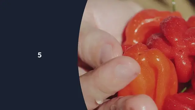 Video thumbnail for How to Grow Chilli Peppers at Home