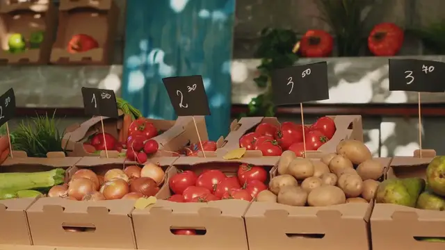 Video thumbnail for 10 Fast Growing Vegetables for Your Garden