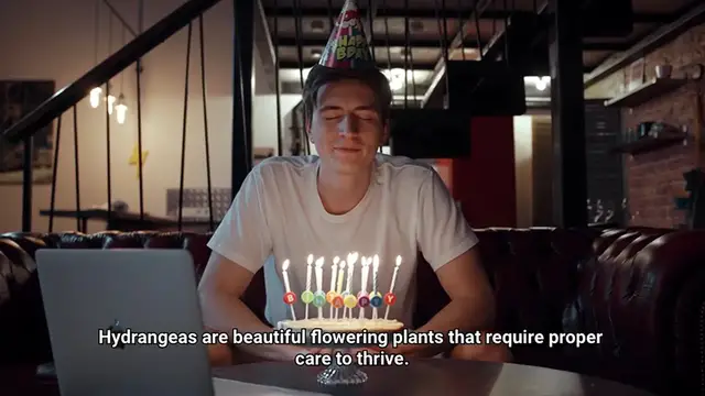 Video thumbnail for How to Care for Hydrangeas