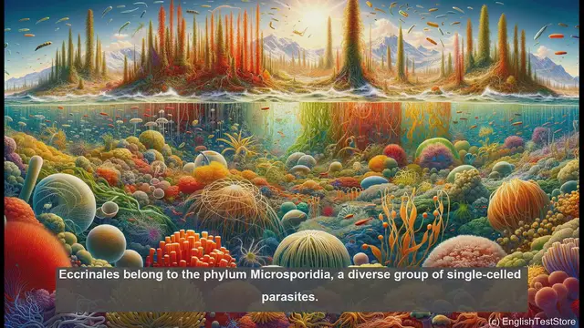 Video thumbnail for Eccrinales in biology - meaning, definition and examples