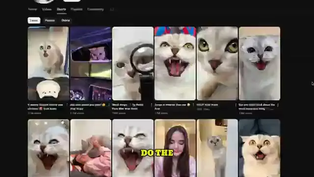 Video thumbnail for How I Made $12kMonth Reposting Animal Clips on YouTube (It’s Easier Than You Think!)