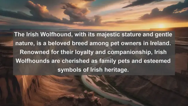 Video thumbnail for Ireland's Most Beloved Companions: Top 10 Favorite Pets Revealed