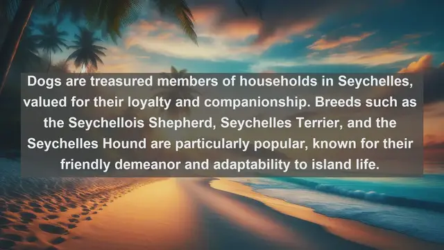Video thumbnail for Island Pet Paradise: Top 10 Favorite Pets in Seychelles Unveiled