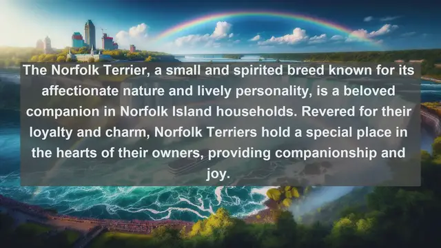 Video thumbnail for Norfolk Island's Pet Paradise: Unveiling the Top 10 Adored Companions!