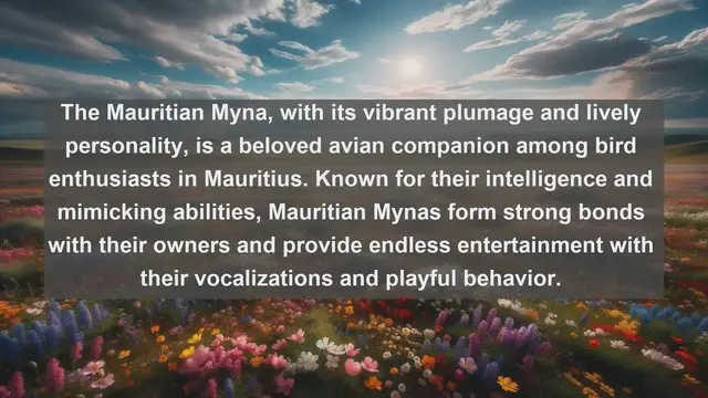 Video thumbnail for Exploring Mauritius' Most Adored Companions: Top 10 Favorite Pets Revealed