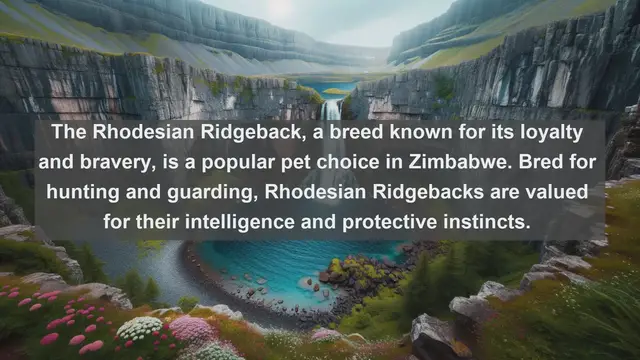 Video thumbnail for Zimbabwe's Top 10 Beloved Pets: Explore the Animal Companions of Southern Africa's Gem