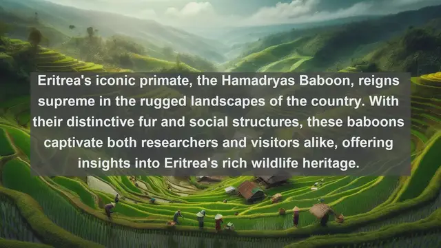 Video thumbnail for Discovering Eritrea's Natural Treasures: Top 10 Native Fauna