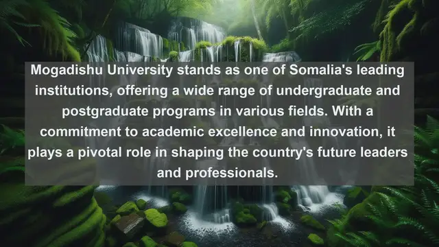 Video thumbnail for Unveiling Academic Excellence: Top 10 Favorite Universities in Somalia