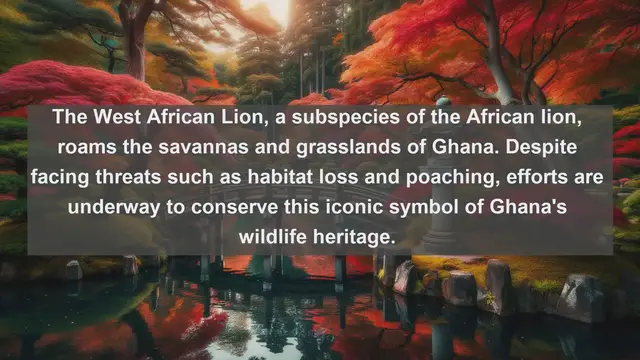 Video thumbnail for Discover Ghana's Natural Treasures: Top 10 Native Fauna