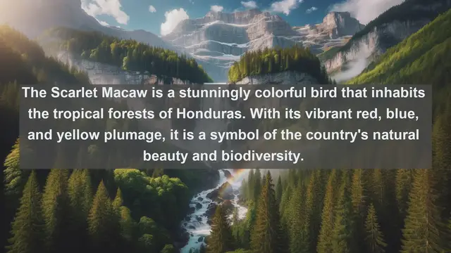 Video thumbnail for Exploring Honduras' Biodiversity: Top 10 Native Fauna Revealed