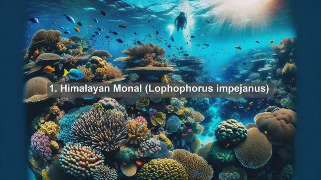 Video thumbnail for Top 10 native birds in Nepal