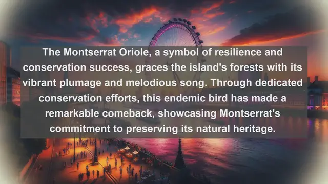 Video thumbnail for Discovering Montserrat's Hidden Treasures: Top 10 Native Fauna