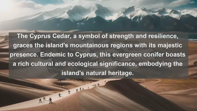 Video thumbnail for Unveiling Cyprus's Botanical Marvels: Top 10 Native Plants Revealed!