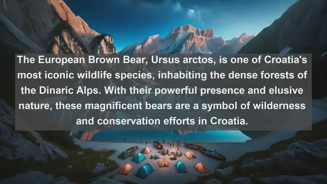 Video thumbnail for Exploring Croatia's Wildlife Wonders: Top 10 Native Animals