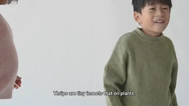 Video thumbnail for How To Get Rid Of Thrips?