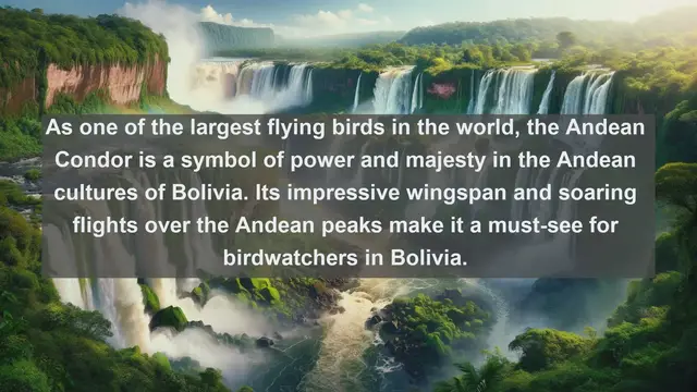 Video thumbnail for Wings of the Andes: Discover Bolivia's Top 10 Native Birds