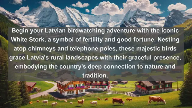 Video thumbnail for Discover Latvia's Avian Diversity: Top 10 Native Birds of Latvia