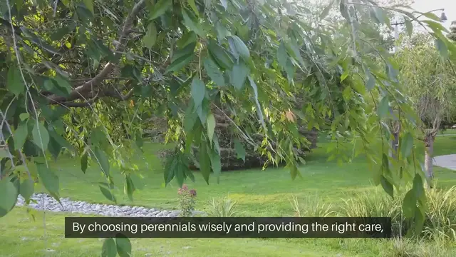 Video thumbnail for Perennial Gardening Tips