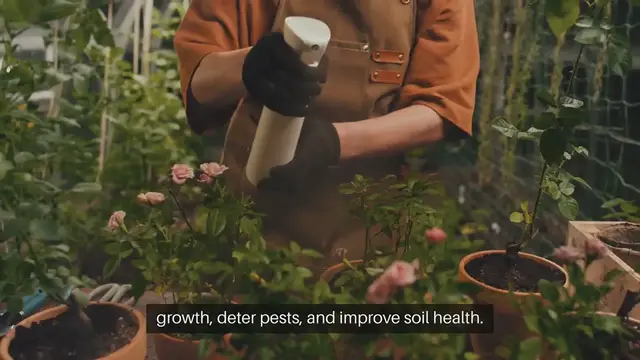 Video thumbnail for Companion Planting Strategies