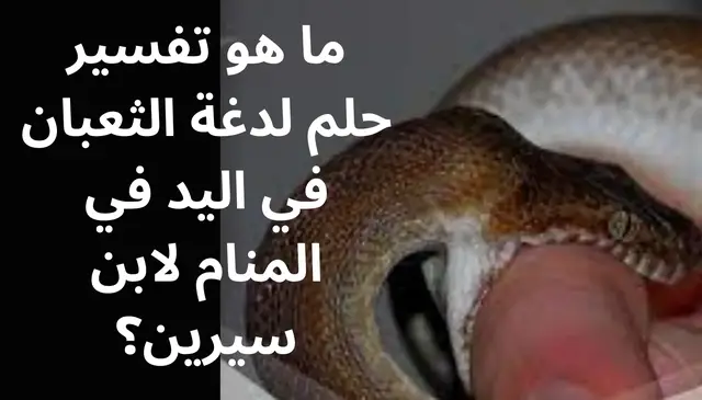 Video thumbnail for ما هو تفسير حلم لدغة الثعبان في اليد في المنام لابن سيرين؟
