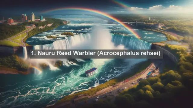 Video thumbnail for Discovering Nauru's Avian Wonders: Top 10 Native Birds of Nauru