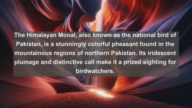 Video thumbnail for Wings of Pakistan: Top 10 Native Birds You Need to See!