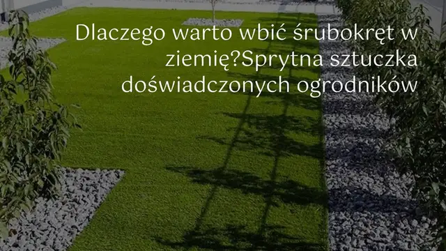 Video thumbnail for Dlaczego warto wbić śrubokręt w ziemię? Sprytna sztuczka doświadczonych ogrodników