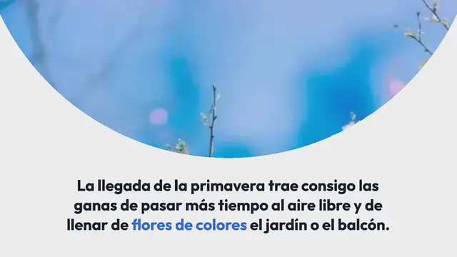 Video thumbnail for Flores para crecer en abril: aquí está el ranking de las mejores de la temporada