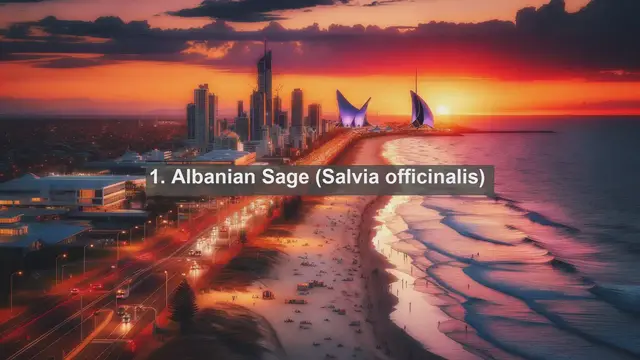 Video thumbnail for Unveiling Albania's Botanical Treasures: Top 10 Native Plants