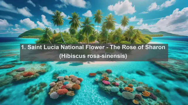 Video thumbnail for Exploring Saint Lucia's Natural Treasures: Top 10 Native Flora You Must See!