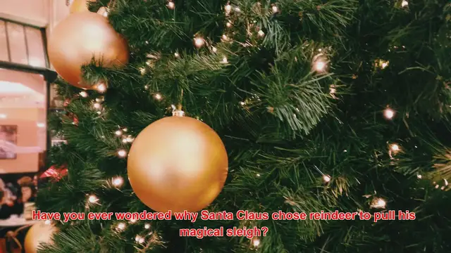 Video thumbnail for What Are The Origins Of Reindeer As Santa’s Helpers?