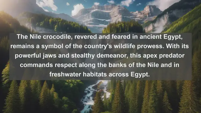 Video thumbnail for Exploring Egypt's Wildlife Wonders: Top 10 Native Fauna