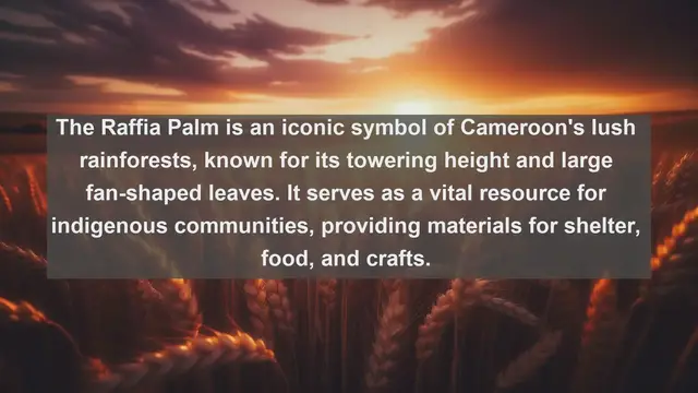 Video thumbnail for Exploring Cameroon's Natural Treasures: Top 10 Native Plants