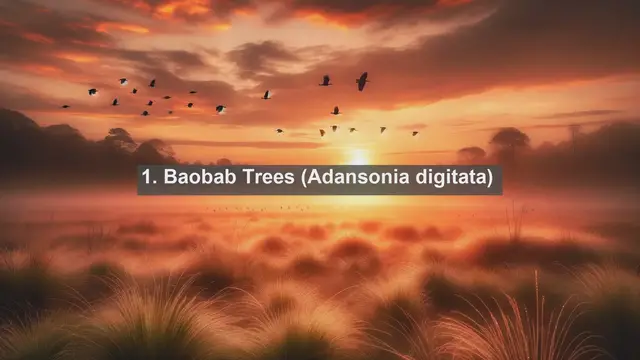 Video thumbnail for Discovering Ivory Coast's Natural Treasures: Top 10 Native Flora in Côte d’Ivoire