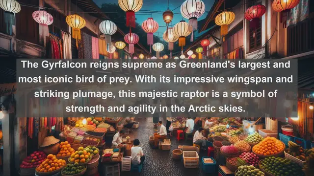 Video thumbnail for Top 10 native birds in Greenland