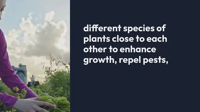 Video thumbnail for Companion Planting Guide For Healthy Gardens