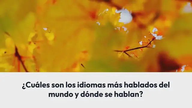Video thumbnail for ¿Cuáles son los idiomas más hablados del mundo y dónde se hablan?