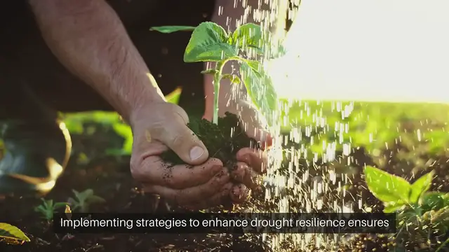 Video thumbnail for Drought-Resistant Garden Tips