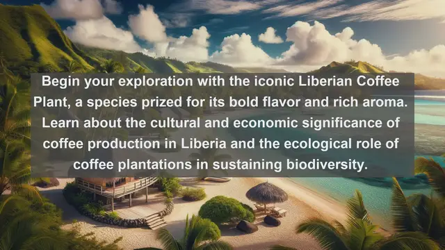 Video thumbnail for Discover Liberia's Botanical Riches: Top 10 Native Plants in Liberia