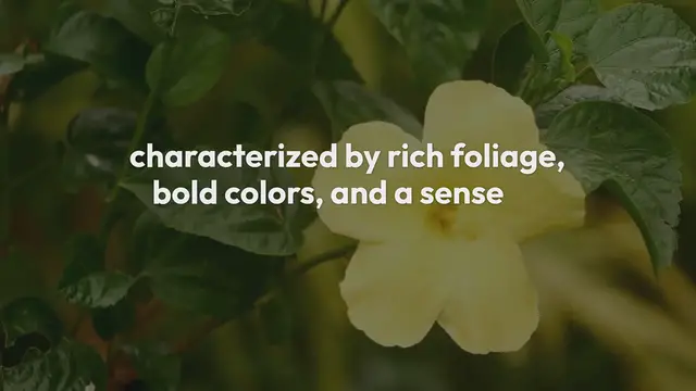 Video thumbnail for Tropical Garden Designs