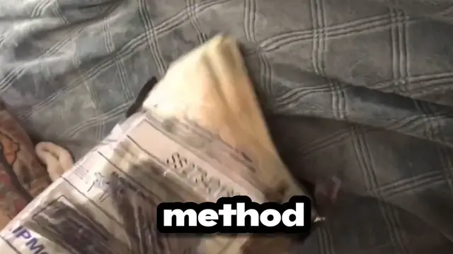 Video thumbnail for NEW Side Hustle That Will Make You $300_DAY (passively)