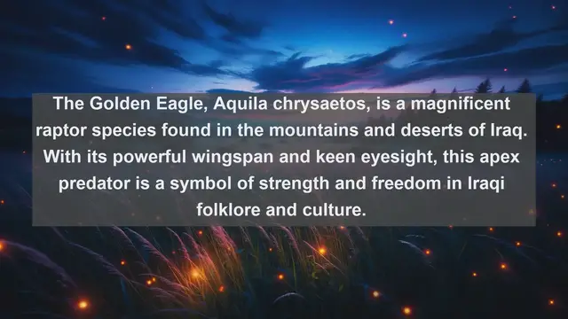 Video thumbnail for Discovering Iraq's Avian Diversity: Top 10 Native Birds You Can't Miss!