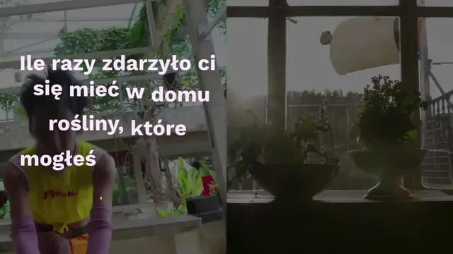 Video thumbnail for Jak zrobić aloes, wystarczy korzeń: 3 proste sposoby na ukorzenienie wszystkiego