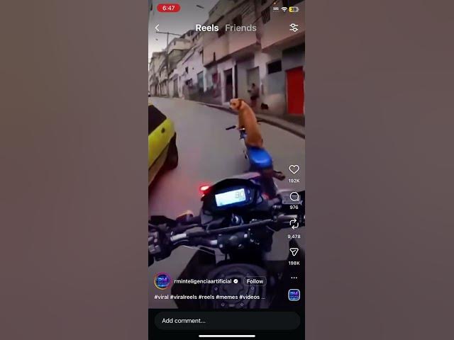 Video thumbnail for Ain’t this something #foryou #funny #hilariousfails #a24