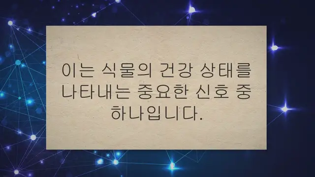 Video thumbnail for 식물 잎 끝이 갈색이 되는 이유와 해결하기