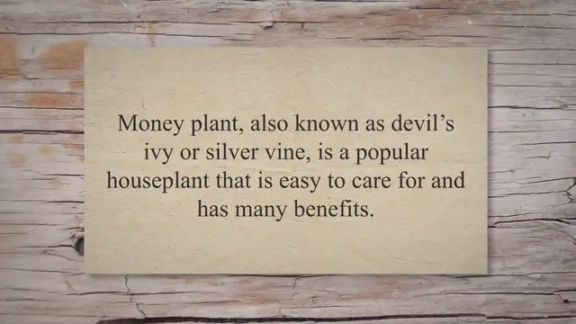 Video thumbnail for Water Money Plant